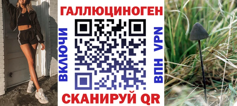 Псилоцибиновые грибы Psilocybe Спасск-Дальний